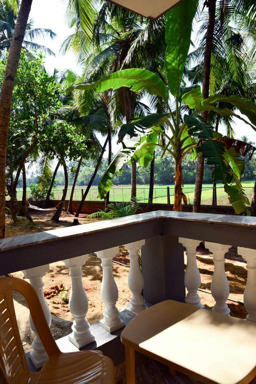 Отель Palm Shades Spring Бенаулим Номер фото
